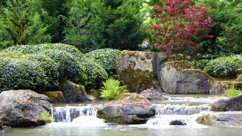 Another view of the peaceful Japanese Gardens.
